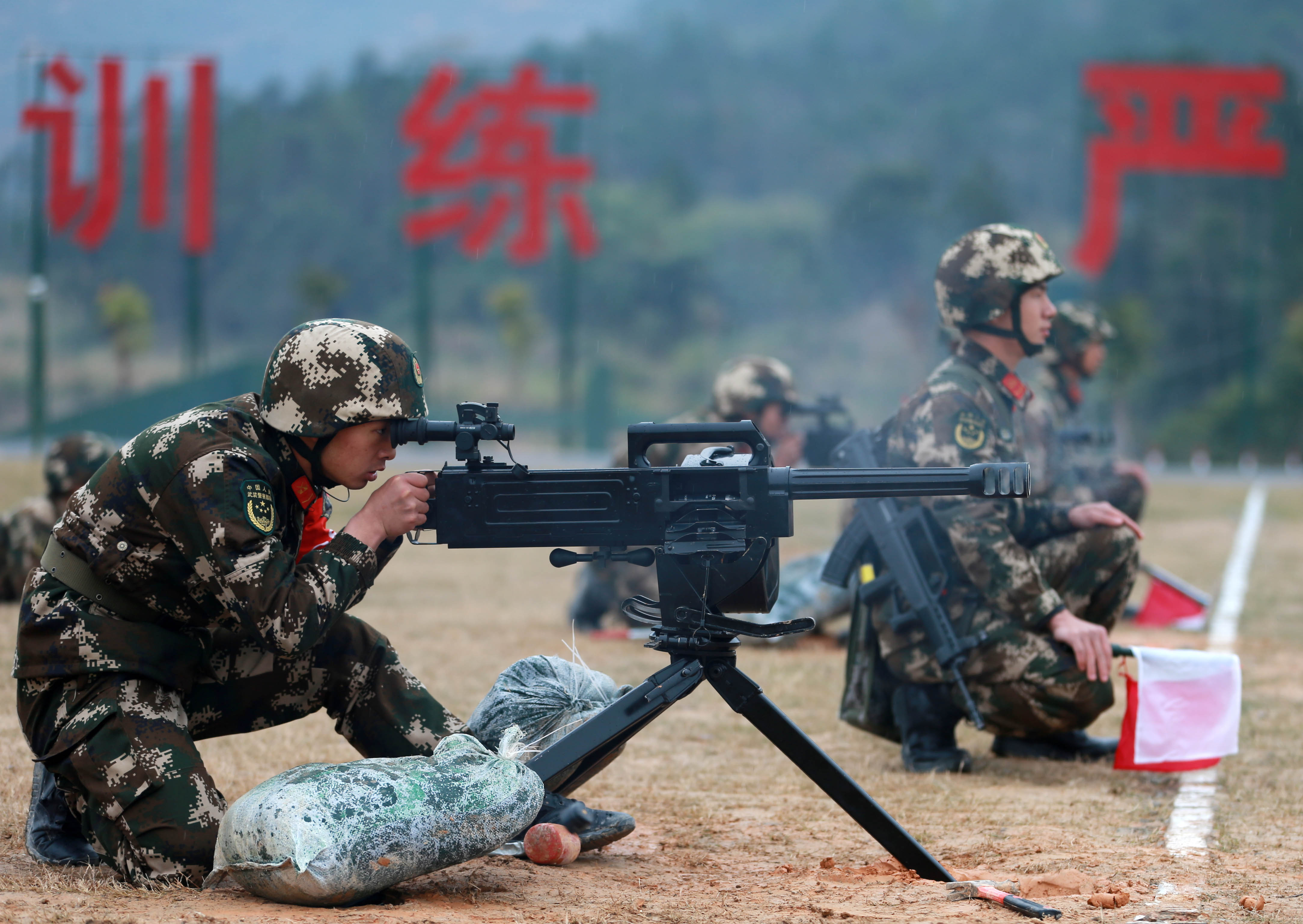 武警部队最新人事任免动态，深度解读与分析
