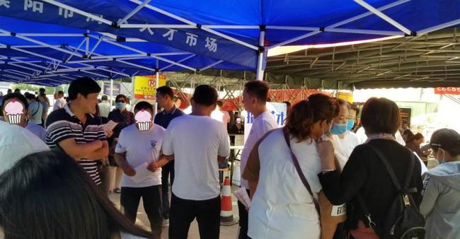 濮阳人才市场最新招聘，友情、机遇与家的温馨汇聚地