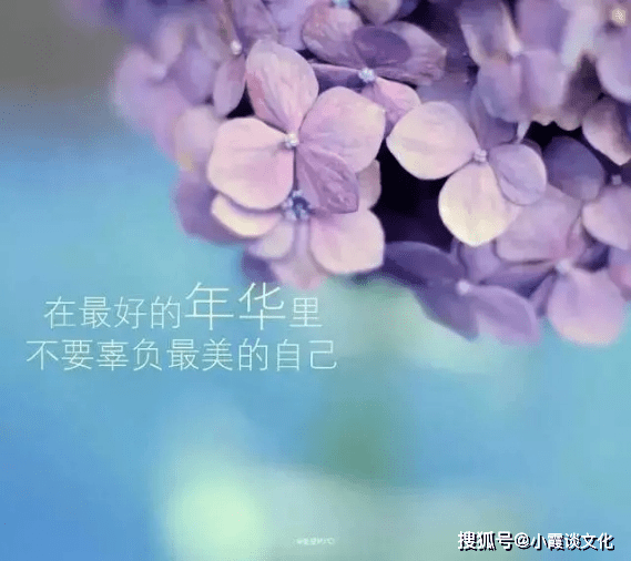 拾句最新，唤醒心灵的温馨话语💖