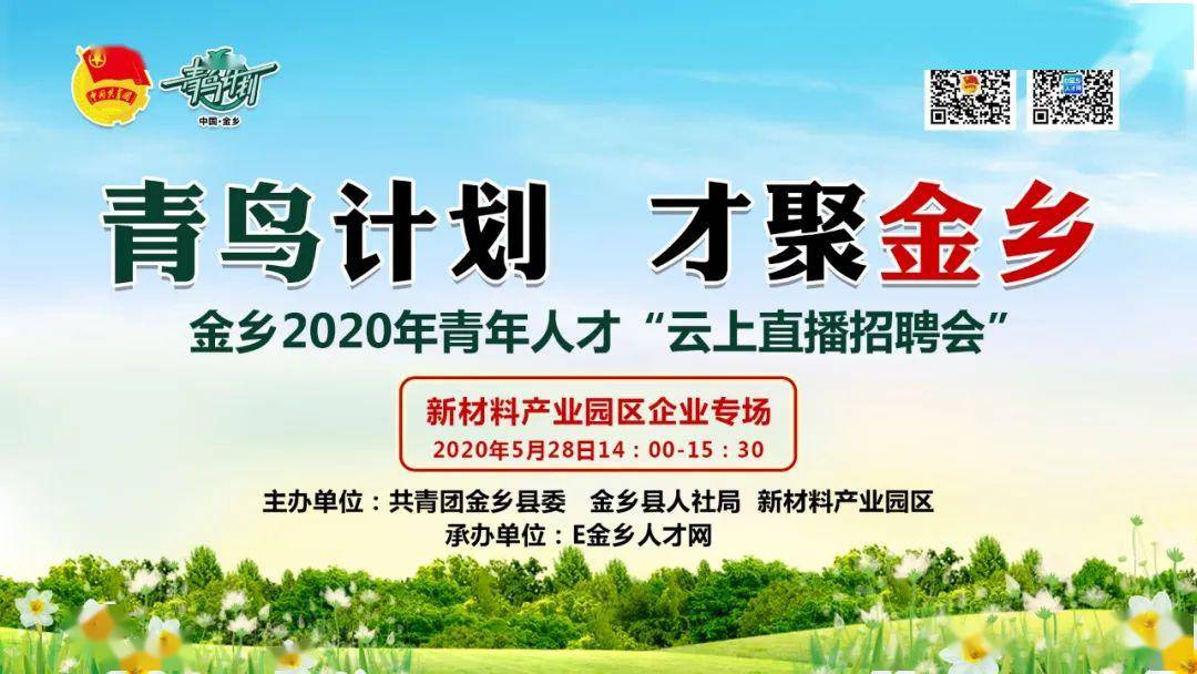 金乡招聘信息全面概览