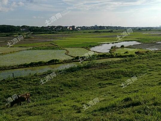 国家土地确权最新政策，自然美景探索之旅的邀请