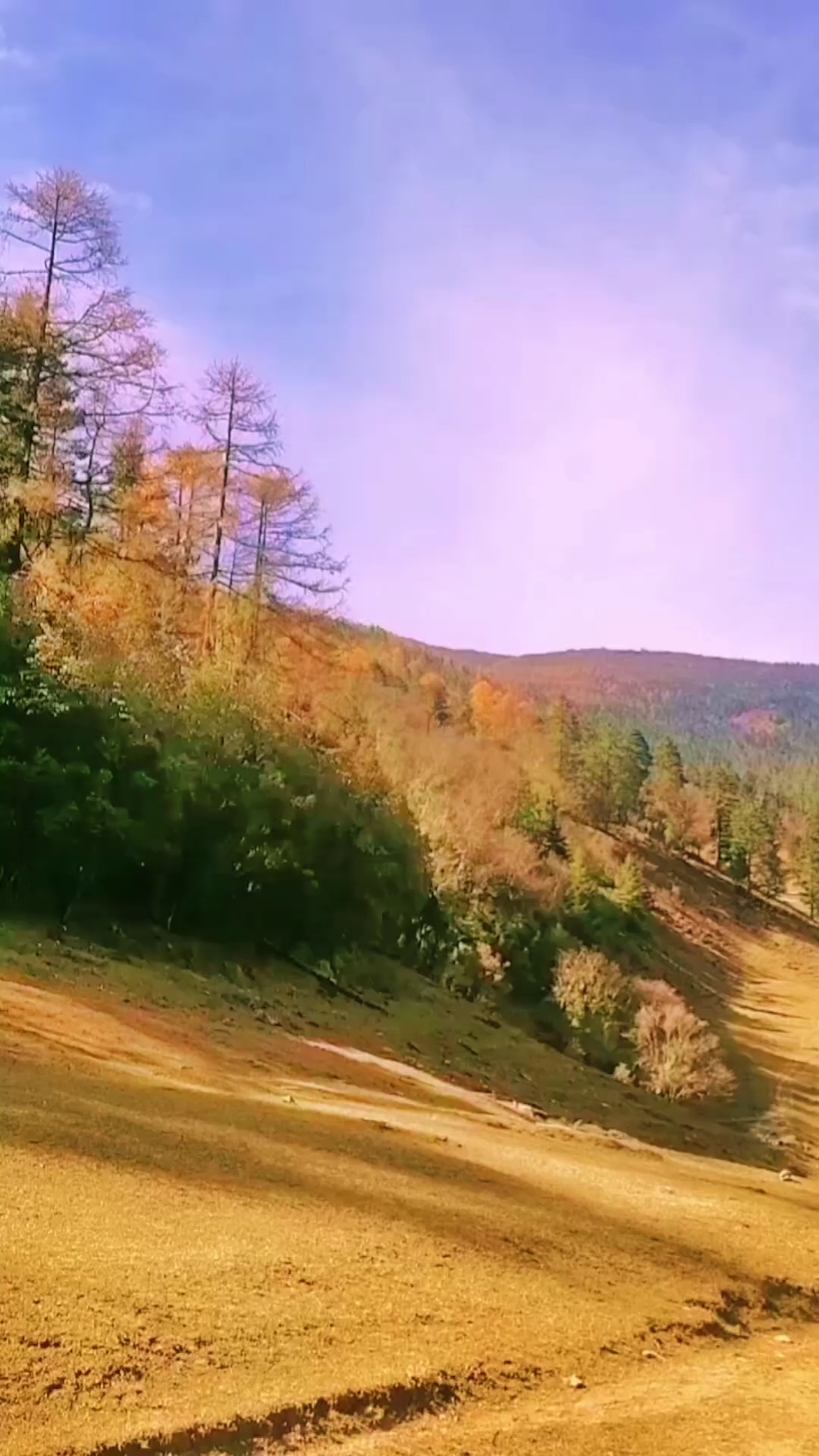 最新99热地址免费获取，开启自然美景探索之旅，寻找内心宁静之地