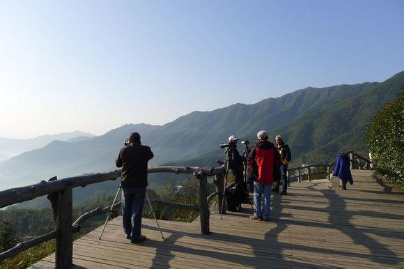 商郧路最新动态，自然美景的探索之旅，心灵深处的宁静与远方呼唤