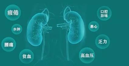 肾病治疗最新技术的背景、进展与地位探索