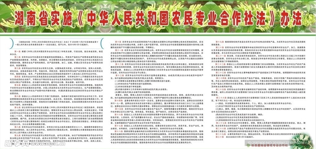 最新合作社法，共创辉煌，成就之路的自信与力量