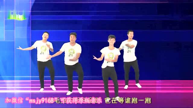 最新幼儿律动舞蹈视频，舞动自信，开启学习成长之旅