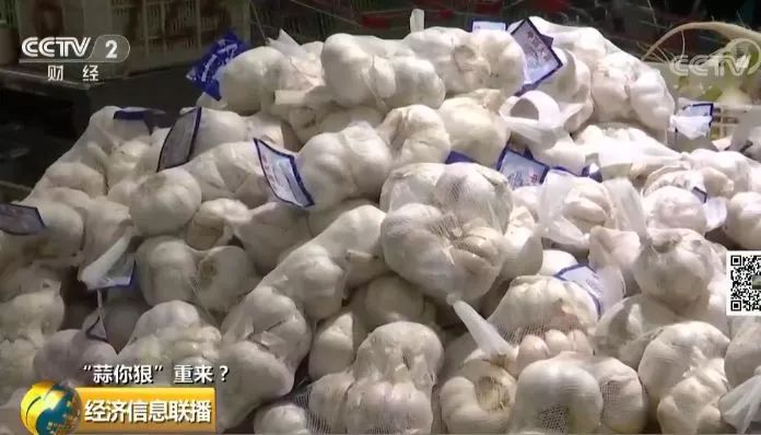 山东鲜蒜最新价格，友情与陪伴的蒜香故事开启