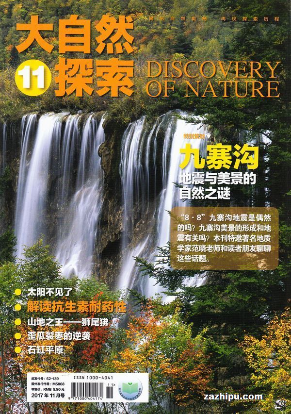 探索自然美景之旅，揭秘最新封面故事之魅力旅程