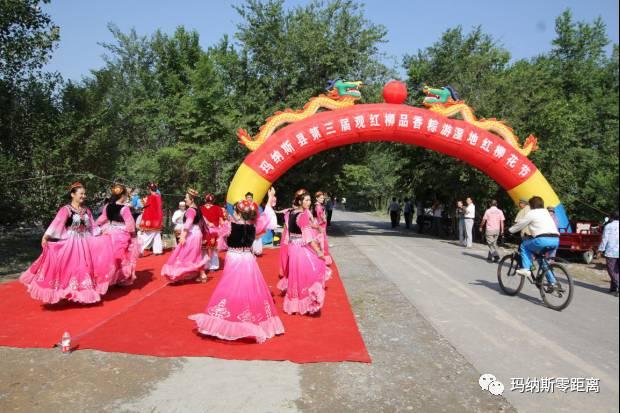山东土豆最新价格，探寻自然美景，体验心灵之旅