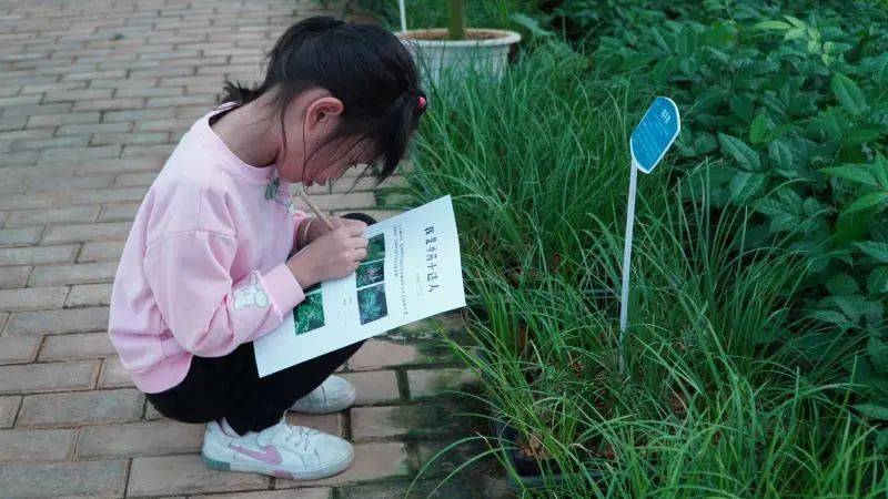 学习、变化与自我成长，久草在线最新5的奇妙旅程探索