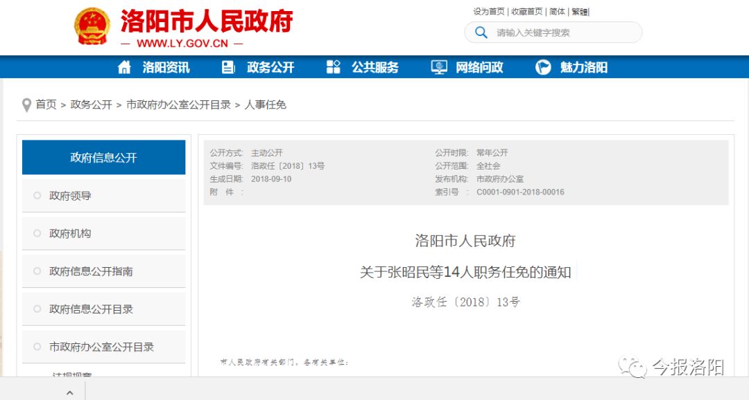 洛阳最新干部任命，人事变革的深度解析与观察
