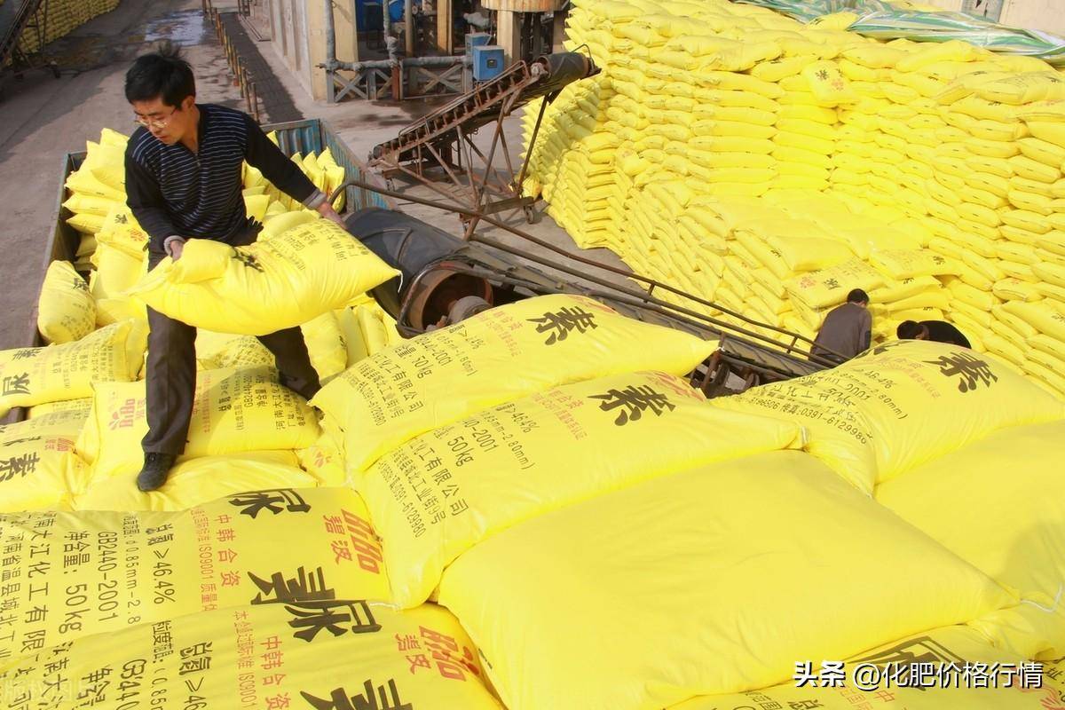 最新尿素价格动态及市场走势分析与预测