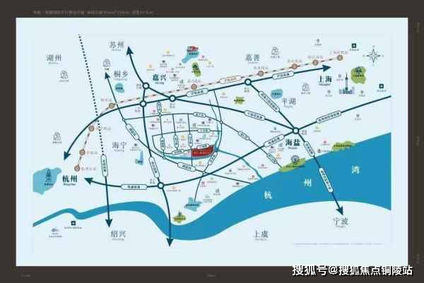 兔子最新价格概览及分析，洞悉市场动态