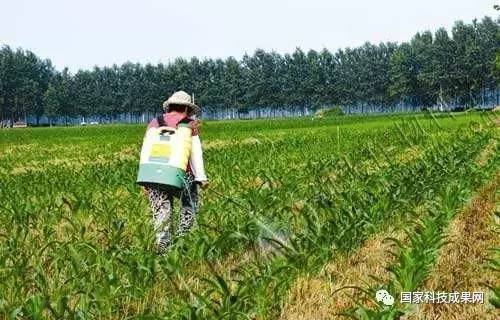科技革新引领绿色革命，最新除草剂发布