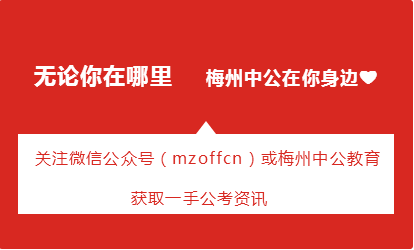 东莞最新招聘信息概览，最新岗位招聘概述