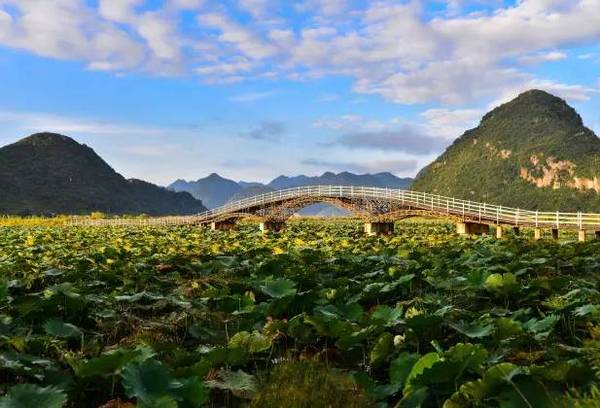 仁怀最新招聘，启程探索自然美景，寻觅内心平和之旅