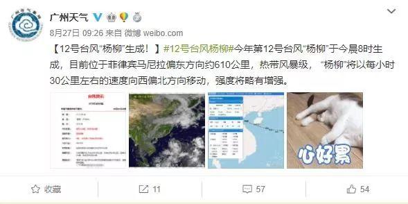 广州台风最新消息更新