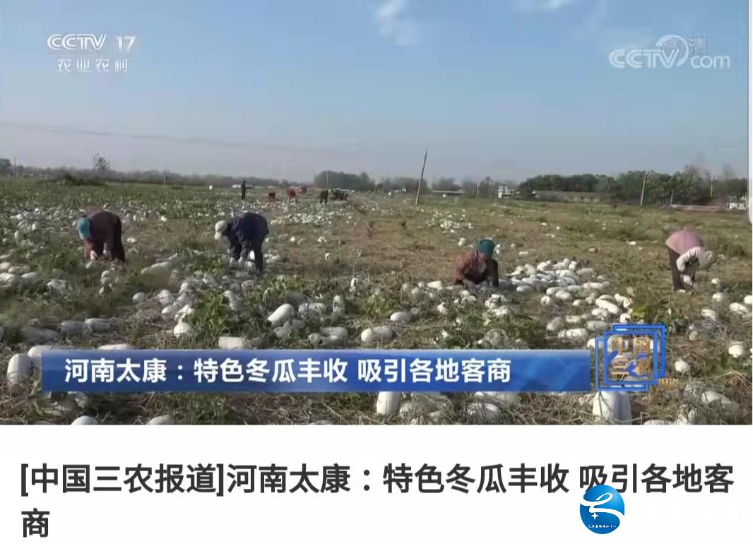太康新闻最新消息,太康新闻最新消息