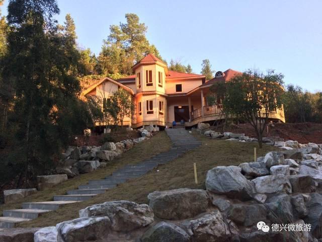 最新手机游戏探索自然美景，寻找内心平和之旅