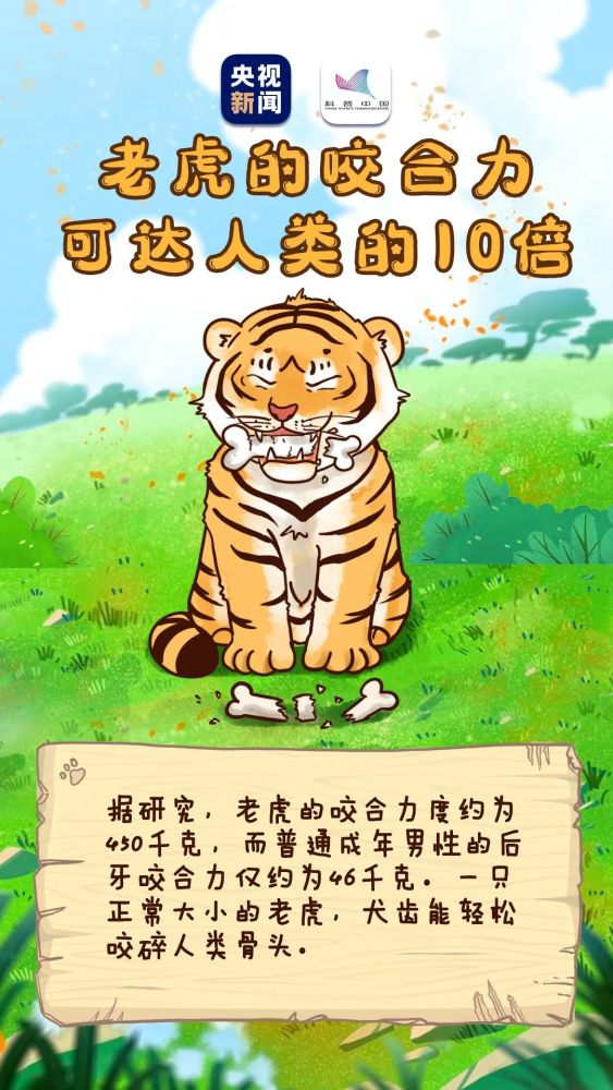 虎年必出一期的白小姐三肖三期开奖，专业执行问题_EAW3.28.54原型版