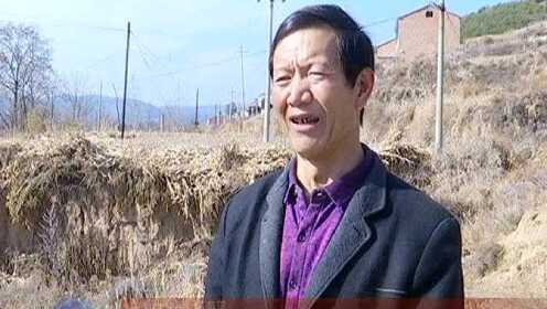 壶关新闻最新动态，小巷深处的独特风味揭秘