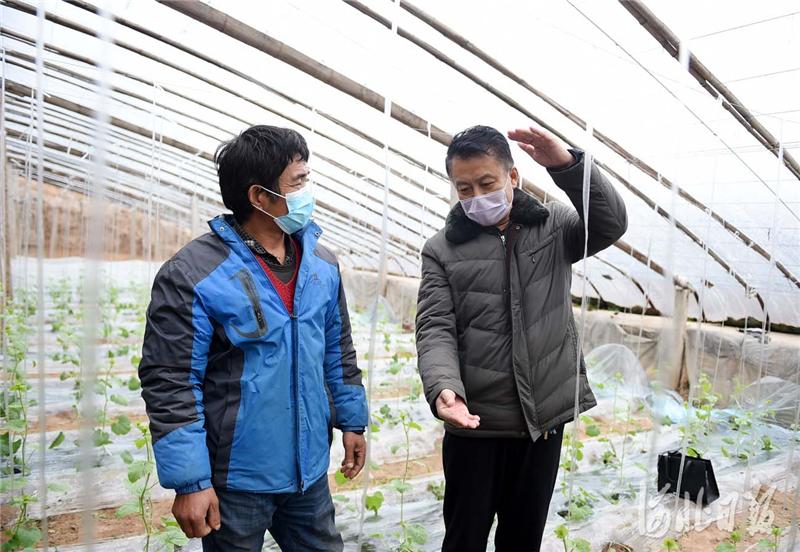 河北省疫情最新动态与小巷独特风味探秘