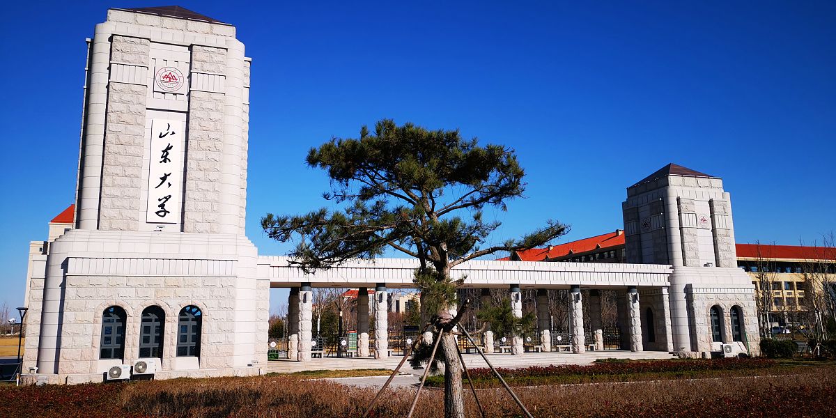 山东大学最新动态更新，最新消息汇总