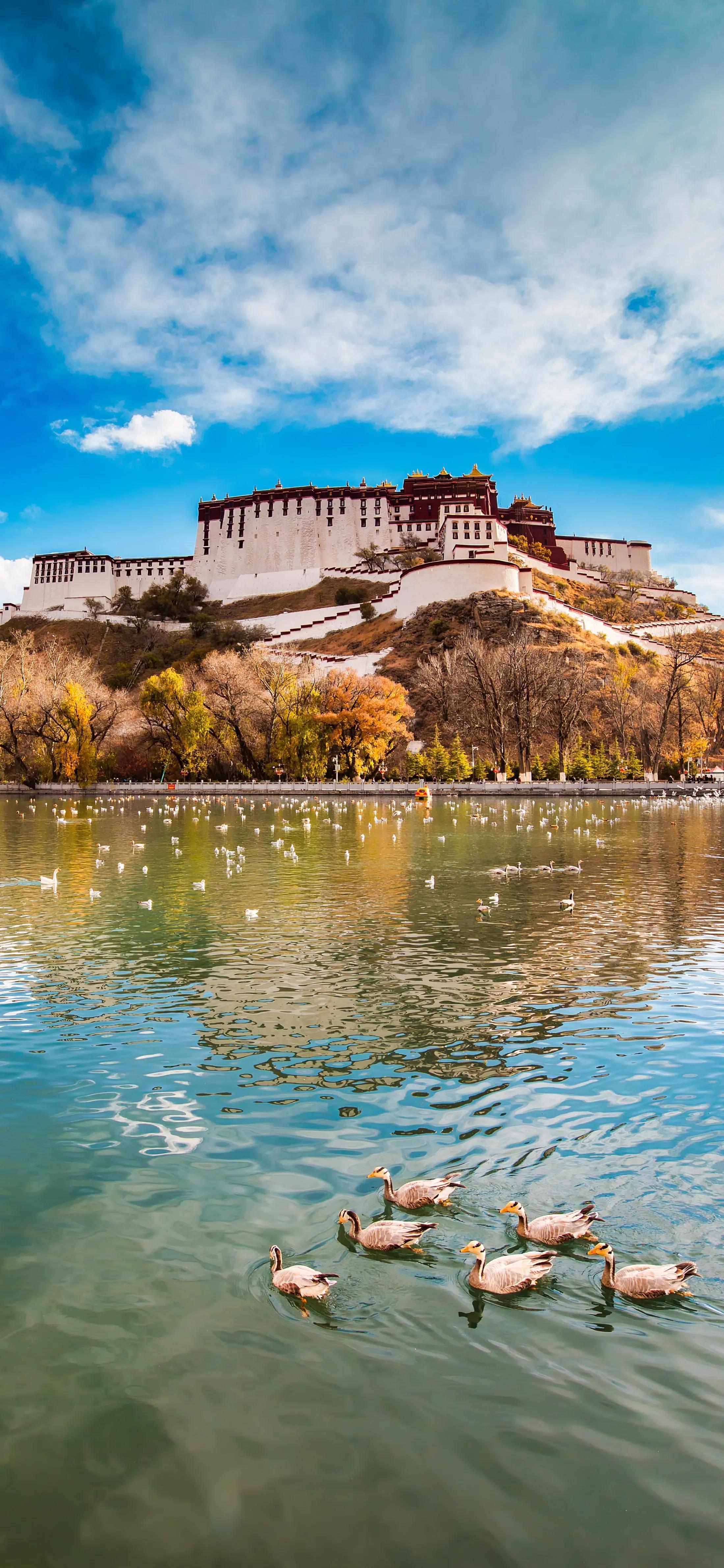 经典传奇最新，自然美景的心灵之旅探索