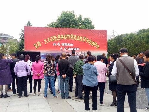 大丰最新招聘信息概览，影响与观点阐述