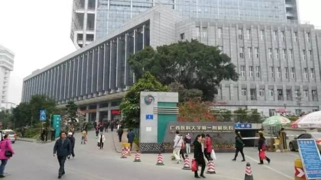 五象新区，科技前沿引领未来生活新潮的明星区域最新消息