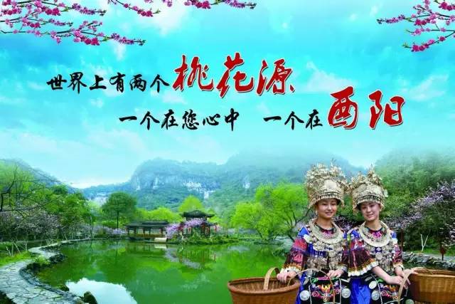 魁拔最新，自然美景的探索之旅
