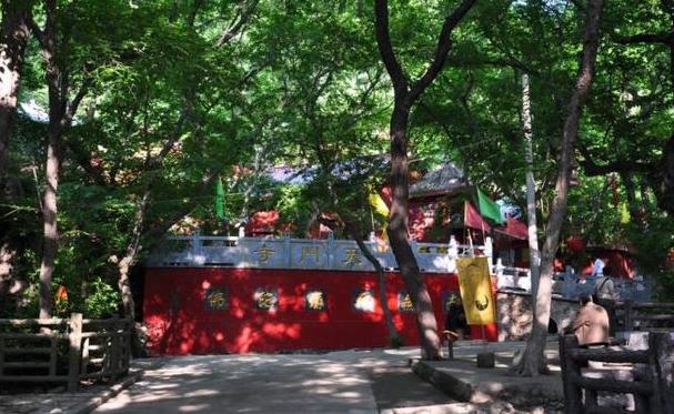 宿州机场最新官方消息🚩