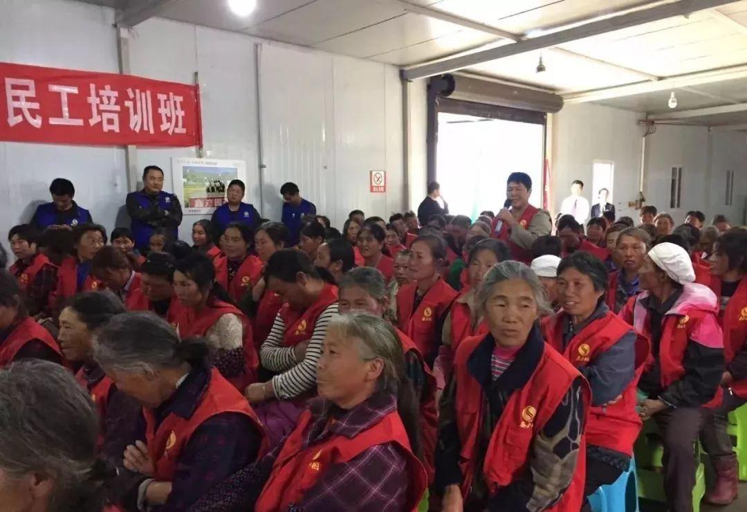 山西共鑫最新消息,山西共鑫最新消息，技能学习与实践操作指南
