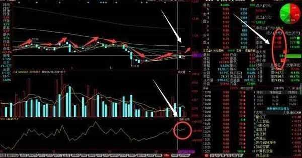 金融街股票最新动态，心灵与自然的奇妙交汇之旅