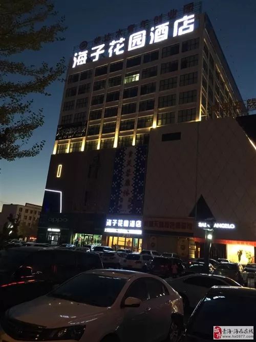 德令哈招聘网最新招聘信息及动态速递