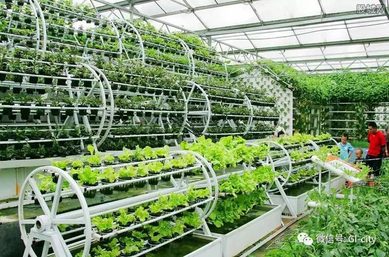 大康农业重组最新动态，消息及其影响深度解析