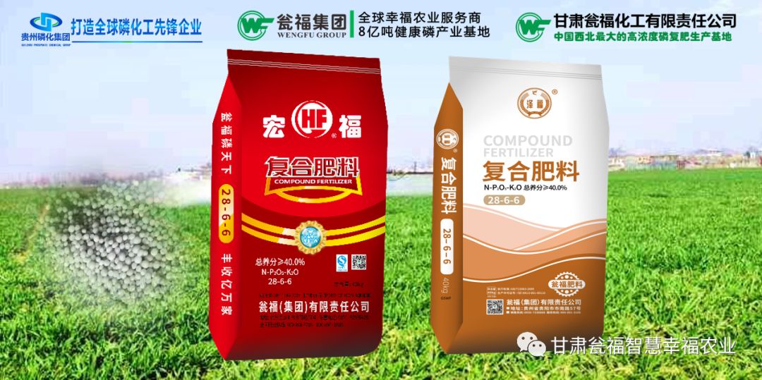 科技重塑农业，宏福复合肥最新价格及生活新活力注入