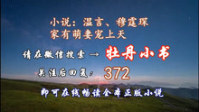 温言穆霆琛小说全文免费阅读最新，深度解析与观点阐述