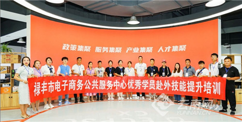 禄丰最新招聘，时代脉搏与人才汇聚之地