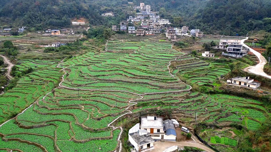 高州最新楼盘，自然美景的探索之旅