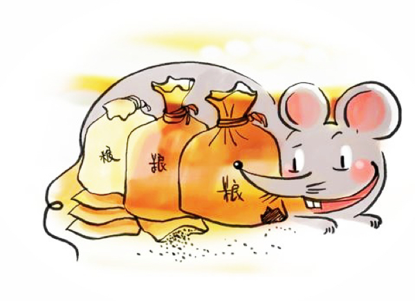 硕鼠最新版学习变化，自信成就梦想之路
