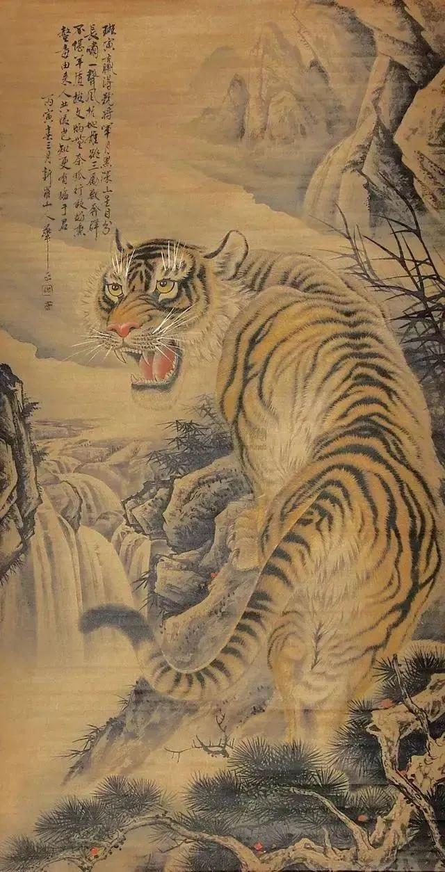 四虎踏遍自然美景，追寻内心平静的旅程之旅