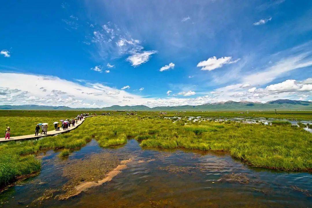 最新电影查询，自然美景的心灵之旅之旅