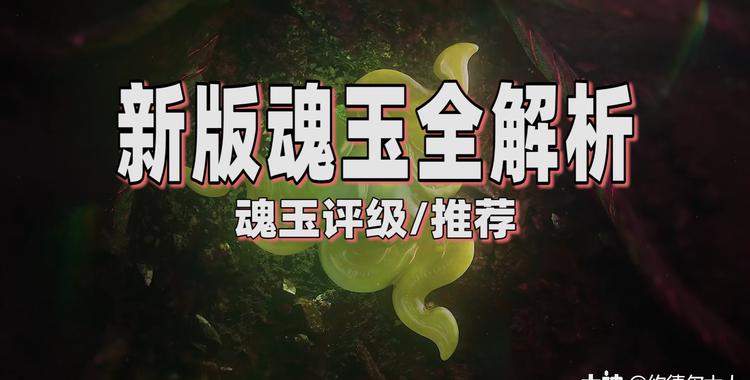 小猪视频最新版本的深度解析与观点阐述