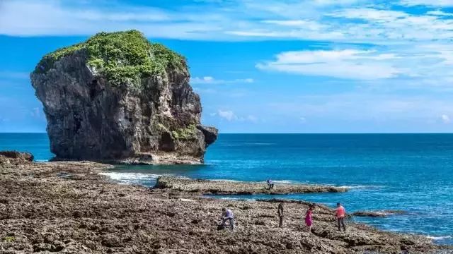 海峡午报最新一期，自然美景的轻松探索之旅