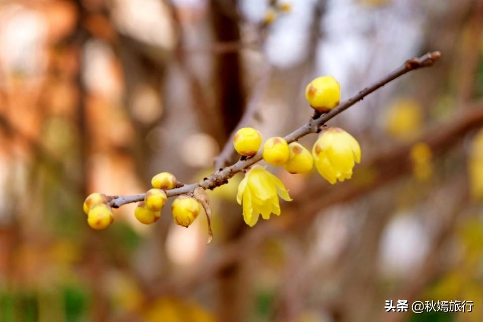 探索自然美景的轻松之旅，最新GH群带你寻找内心平和之地