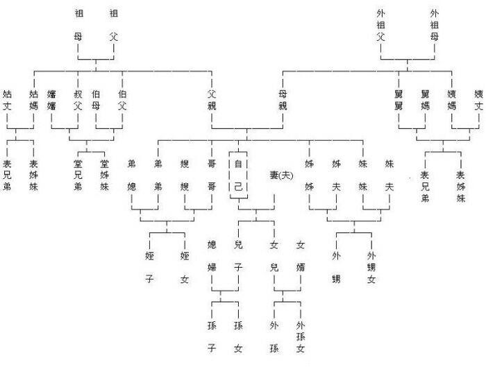 多元视角下的印度关系观察与解析最新动态