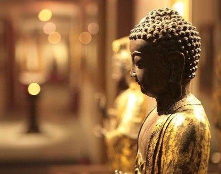 彭随心最新，自然美景的心灵之旅，探寻平和之境