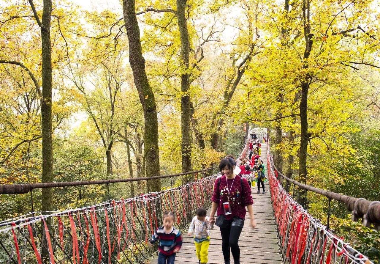 大学新规，探索自然美景之旅，寻找内心宁静的旅程