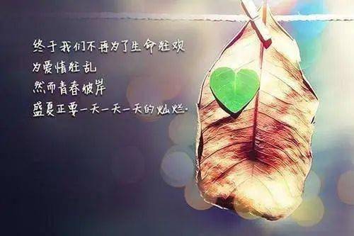 探索自然美景之旅，最新烧烫伤疗愈之旅